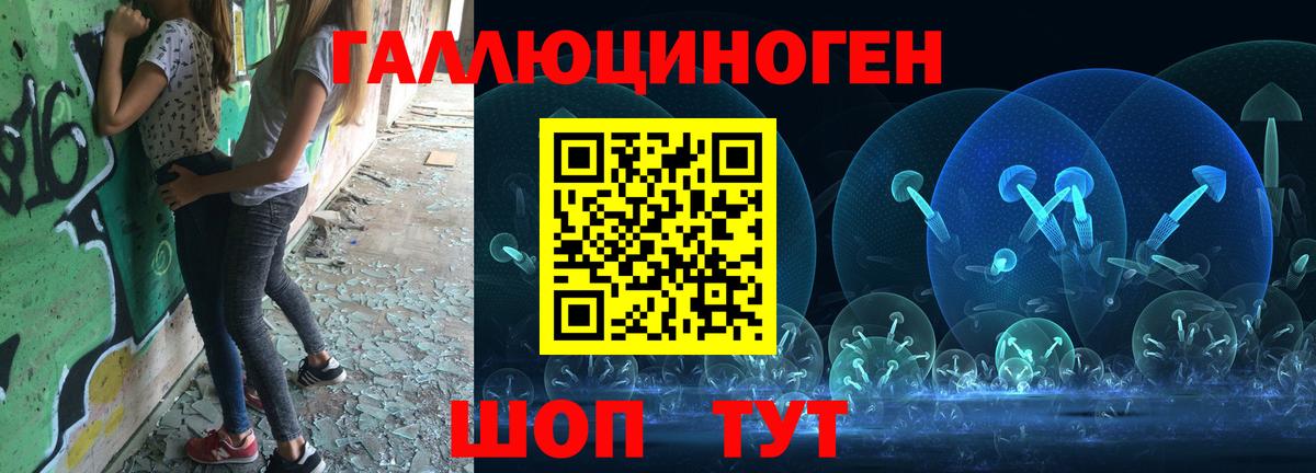 Тында  Псилоцибиновые грибы Cubensis  Псилоцибиновые грибы мухоморы  где найти наркотики  Вход с VPN 